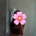 порно фото, проститутки, фото девушек